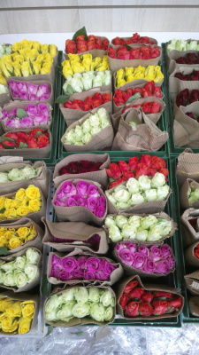 50 Роз Кения 35 см. в технической упаковке. (по 10 шт. в упаковке)