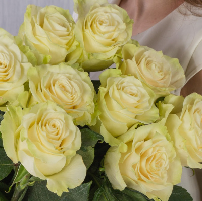 Букет из 9 крупных Белых роз Эквадор 60 см 36401