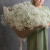 БУКЕТ-ГИГАНТ из белой гипсофилы арт. 29261