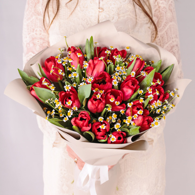 Букет из 19 красных тюльпанов с ромашками 46334
