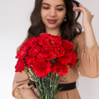 Гвоздика красная