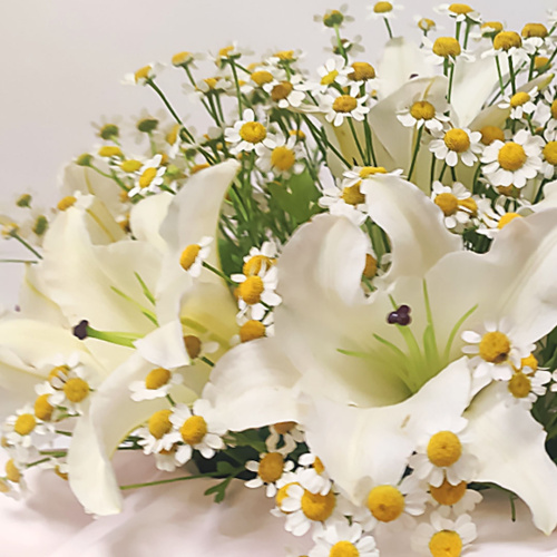 Коробка с цветами лилии и танацетум (ромашки) арт. 51368Дв