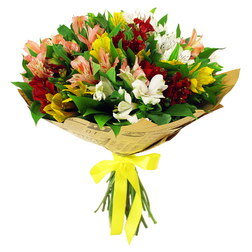 Букет из 25 Альстромерий 7321