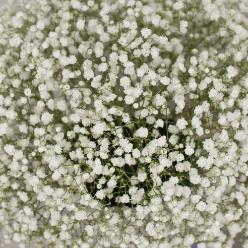 Коробка с гипсофилой белая арт. 50464