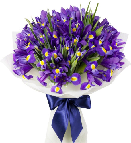 Букет из 51 Ириса арт. 7331